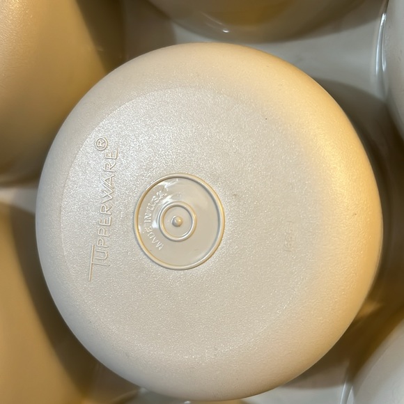 Vintage Tupperware Divided Veggie Fruit Dip Party Tray Bottom Tray For Ice - Picture 12 of 13